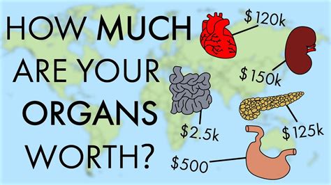 How To Sell An Organ Societynotice10