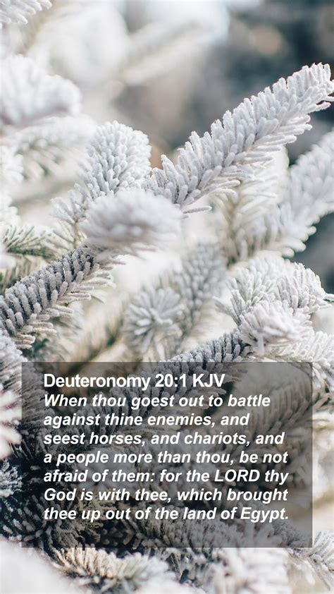 Deuteronomy Kjv Mobile Phone Wallpaper When Thou Goest Out To