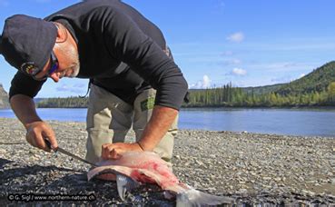 Fishing Yukon | Nature Tours Yukon | Canada