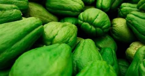 Chayote y salud prevención de enfermedades y beneficios