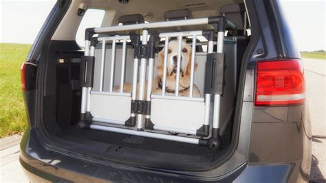 Hundebox F Rs Auto Worauf Man Achten Muss Crashtest