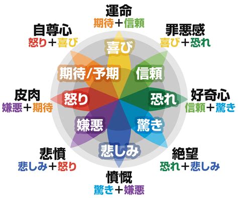 web
