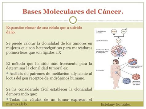 Bases Moleculares Del Cáncer