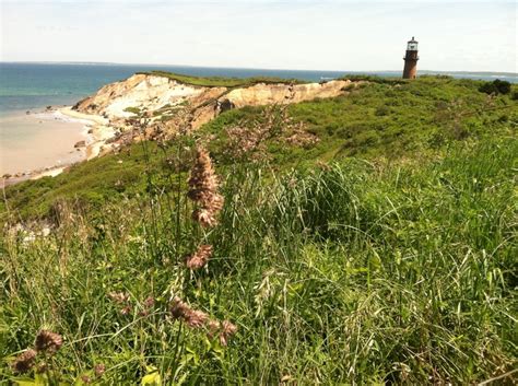 Gay Head Martha S Vineyard Marthas Vineyard Cape Cod Island
