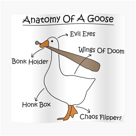 Anatomy Of A Goose Meme Funny Goose With Bonk Meme Poster For Sale