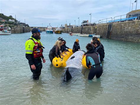 Sea Shepherd France Visit For Training British Divers Marine Life Rescue