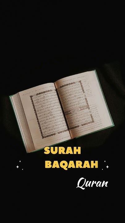 Surah Al Baqarah Urdu Translation Short Clip Foryou Trending Viral