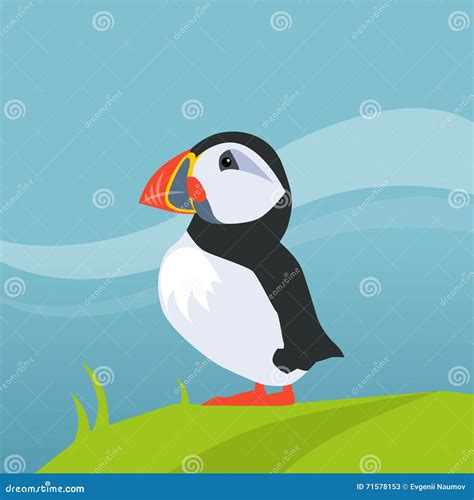 Puffin Bird in Iceland stock vector. Illustration of country - 71578153