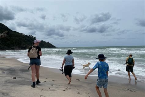 Become A Homestay Host Education Tauranga
