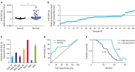 Expression Of Mir P In Gc Tissues And Kaplan Meier Survival Curves