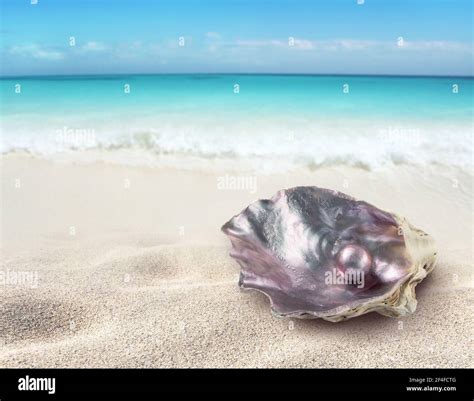 Beach pearl hi-res stock photography and images - Alamy