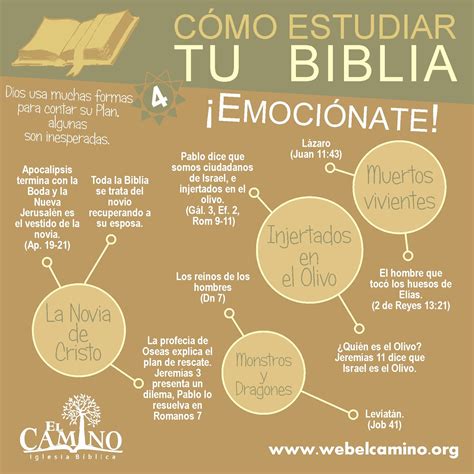 Estudio De La Biblia