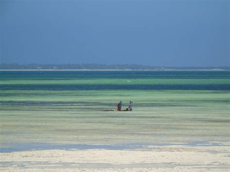 Le Migliori Spiagge Di Zanzibar In Cui Alloggiare Esotica Travel