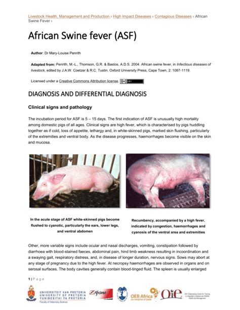 African Swine Fever 5 Diagnosis