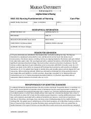 NSG 241 Nursing Care Plan 1 Docx NSG 241 Nursing Fundamentals Of