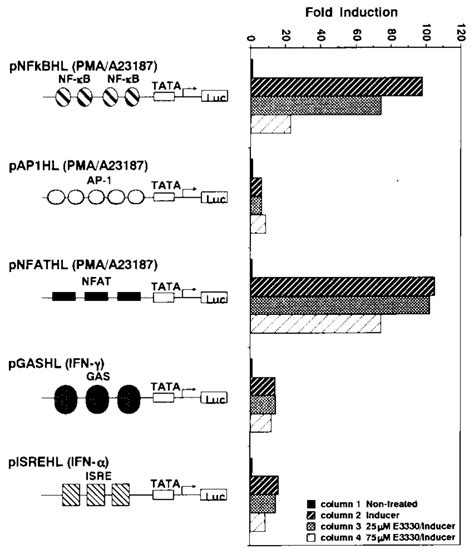 The Effect Of E3330 On Transcription From Other Inducible Promoters