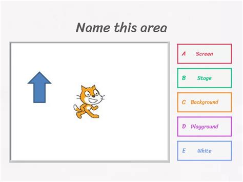 Simple Scratch - Quiz