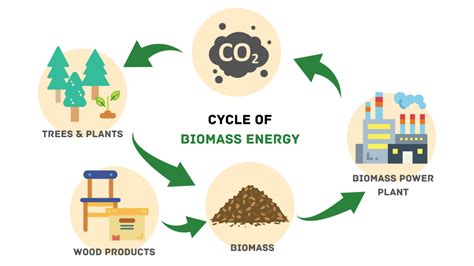 Biomass Energy Cycle