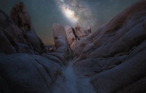 Wallpaper the sky, night, nature, stones, the milky way, Joshua Tree ...