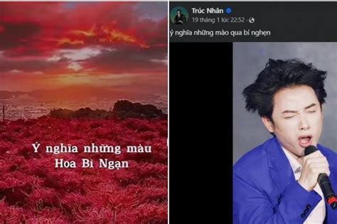 Trend hoa bỉ ngạn đang hot rần rần trên mạng xã hội là gì Tạp chí SaoStar