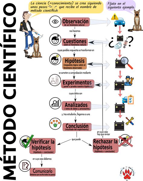 Metodo Cientifico Que Es Etapas Ejemplos Y Pasos Eroppa