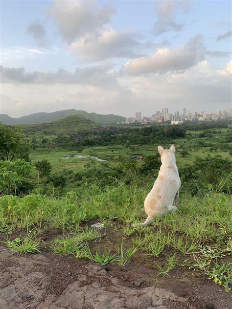 Kharghar hills : r/navimumbai