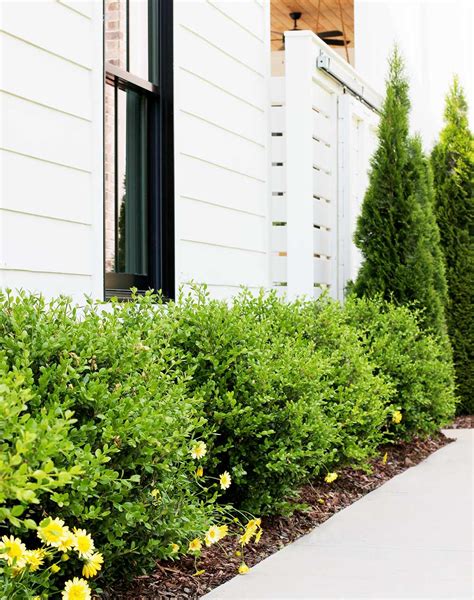 Five Simple Landscaping Tips - Plank and Pillow