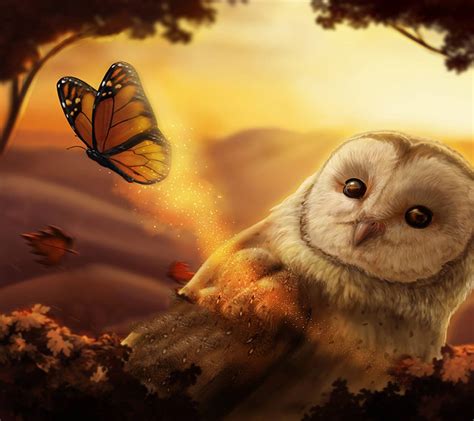 Fall Owls Wallpapers Top Free Fall Owls Backgrounds Wallpaperaccess