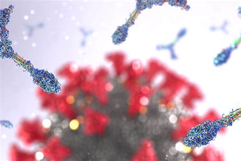 Corona Antikörper Test zur Bestimmung der Immunität Allgemeinmedizin