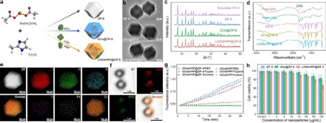 Synthesis And Characterization Of ZIF 8 And Enzyme ZIF 8 A Schematic