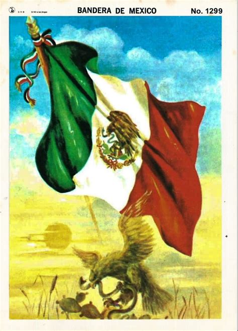 Monografía de la Bandera de México de RAF Mexican art painting