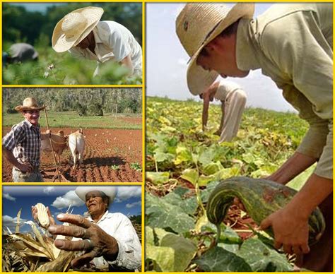 Ley General Del Sistema Nacional De Reforma Agraria Y Desarrollo Rural