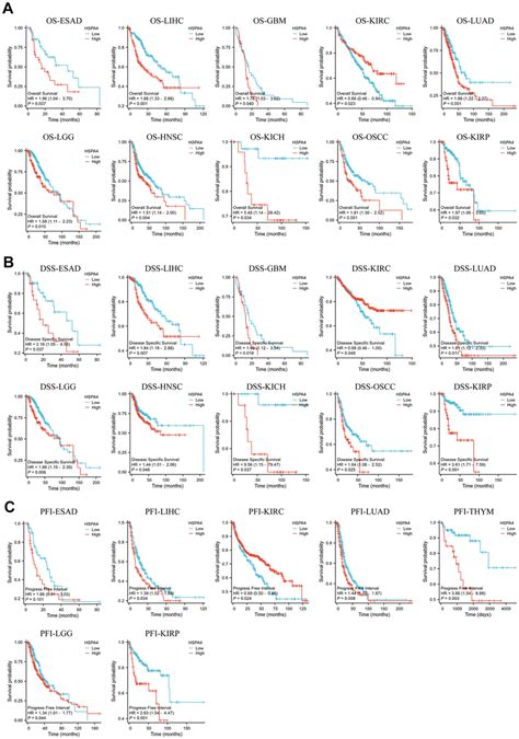 Unveiling The Potential Of Hspa4 A Comprehensive Pan Cancer Analysis