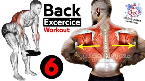 How To Build Your Back Workout 6 Effective Exercises تمارين الظهر Youtube