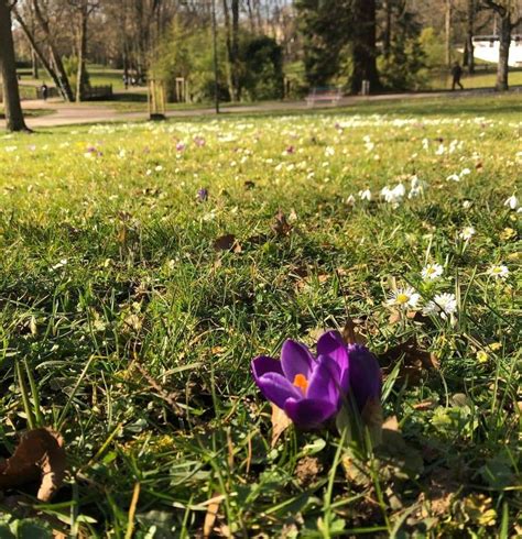 Weather Conditions and Seasons Change in Luxembourg | Forecast in ...