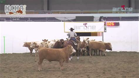 Ncha Of Italy Futurity Open Champion Youtube