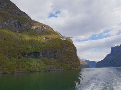 [OC][1280x960] Nærøyfjord, Norway : r/EarthPorn