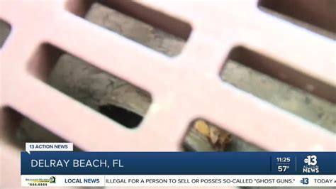 Missing Florida Woman Found Naked In Storm Drain