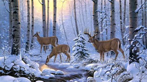 Whitetail deer in snow - Painting art - backiee