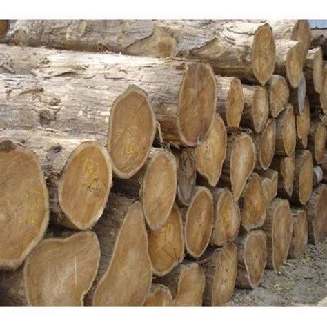 Wood In Chennai Tamil Nadu Get Latest Price From Suppliers Of Wood