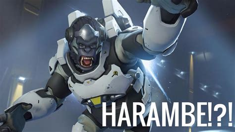 My Boii Harambe In The Game Overwatch Youtube