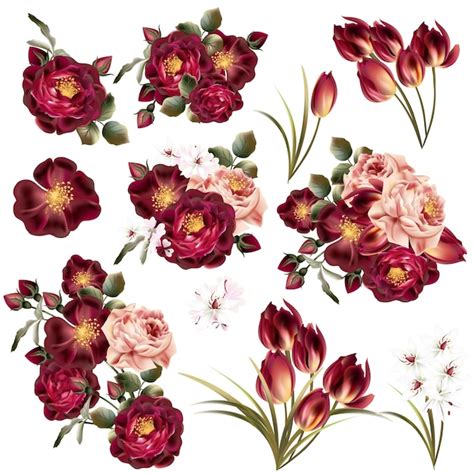 Premium Vector | Coloured flowers collection