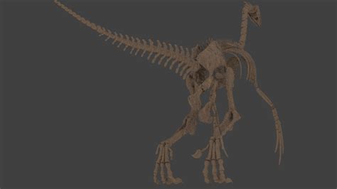 3d Therizinosaurus Skeleton Model Turbosquid 1192584