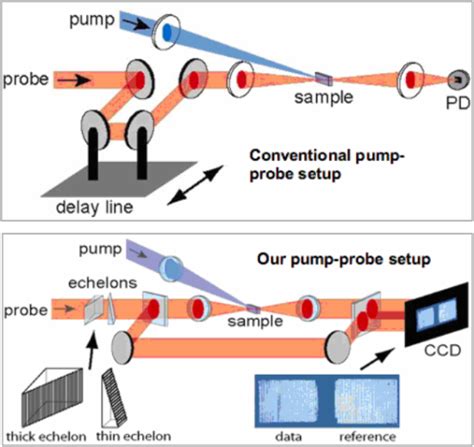 Single Shot Spectroscopy Nelson Group