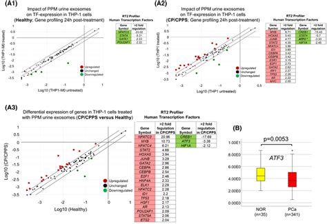 Profiler Pcr Array “human Transcription Factors” Analysis In Thp‐1