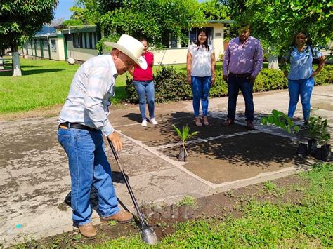 Trabajan En Casimiro Castillo En La Reforestaci N De Escuelas Y