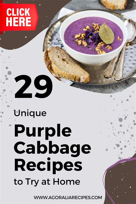 29 Unique Purple Cabbage Recipes To Try At Home - Agoralia Recipes