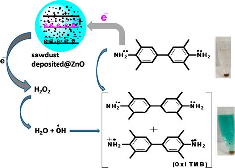 Frontiers Colorimetric Sensing Of Hydrogen Peroxide Using Capped