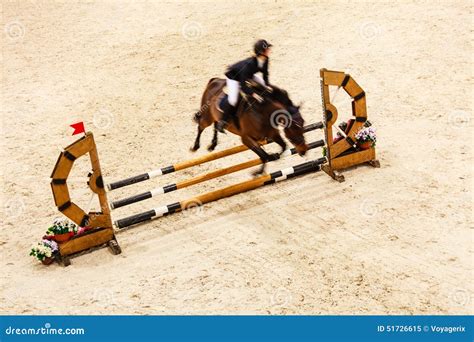 Equitation Zeigen Sie Das Springen Pferd Und Reiter Ber Sprung