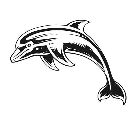 Dolphin Beach SVG